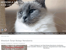 Tablet Screenshot of hodowla-ragdoll.pl